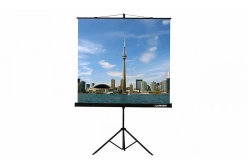 Уценка [LEV-100103] Экран на штативе Lumien Eco View 200x200 см Matte White