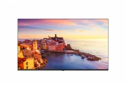 Коммерческий телевизор LG 50
